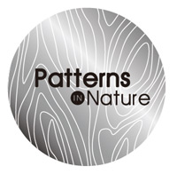 Patterns of Nature